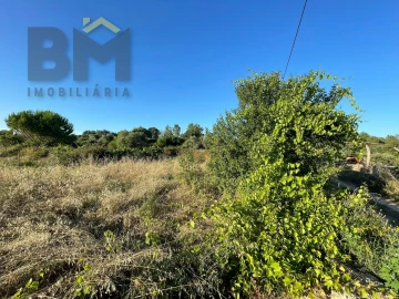 Terreno Agricola ou Rústico para Venda em Freixial e Juncal do Campo