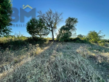 Terreno Agricola ou Rústico para Venda em Freixial e Juncal do Campo