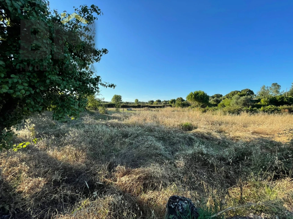 Terreno Agricola ou Rústico para Venda em Freixial e Juncal do Campo Foto 6