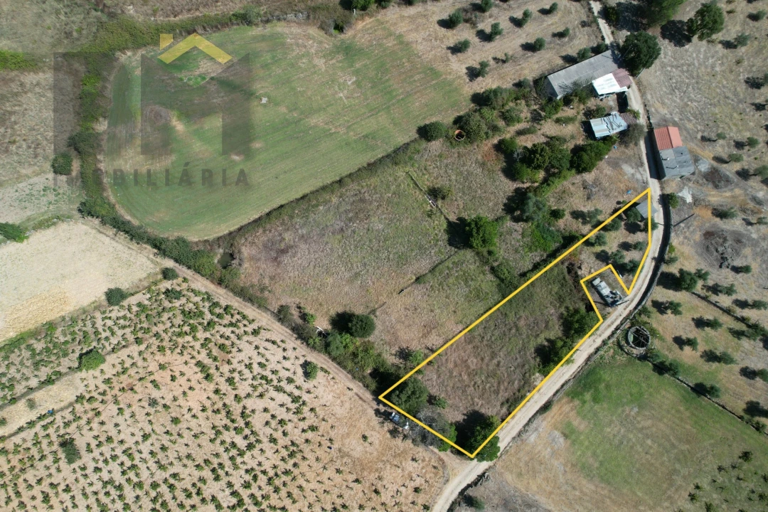 Terreno Agricola ou Rústico para Venda em Freixial e Juncal do Campo Foto 15