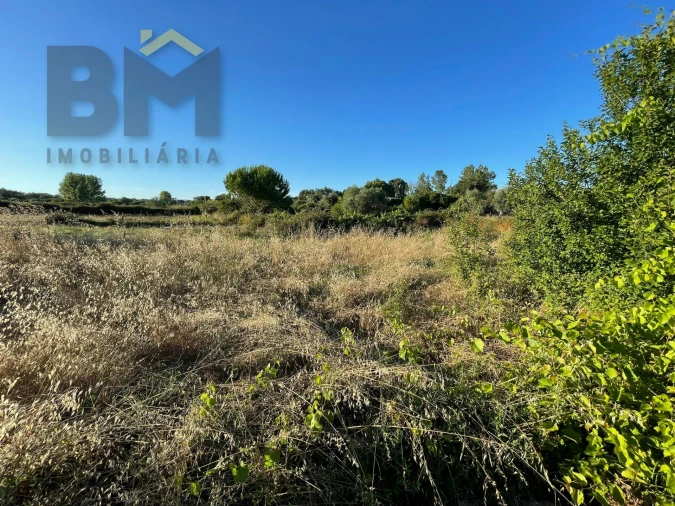 Terreno Agricola ou Rústico para Venda em Freixial e Juncal do Campo Foto 11