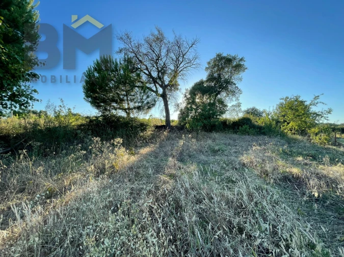 Terreno Agricola ou Rústico para Venda em Freixial e Juncal do Campo Foto 9