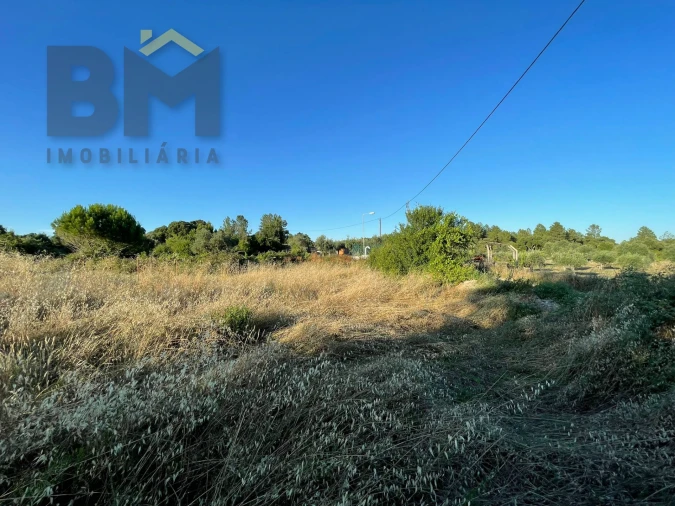 Terreno Agricola ou Rústico para Venda em Freixial e Juncal do Campo Foto 4