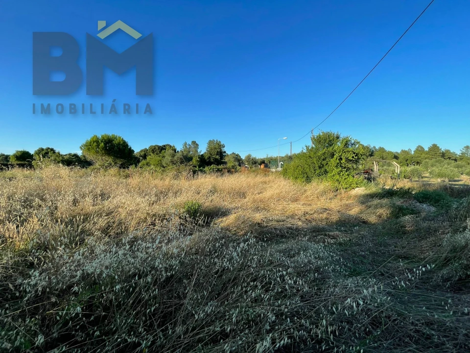 Terreno Agricola ou Rústico para Venda em Freixial e Juncal do Campo Foto 8