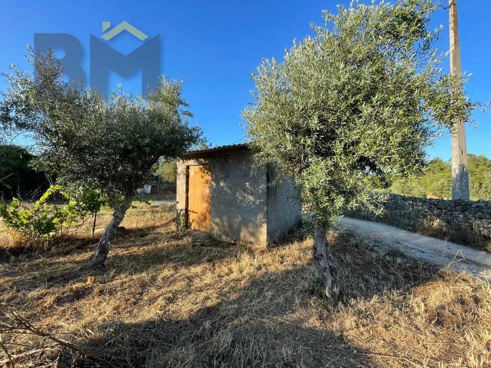 Terreno Agricola ou Rústico para Venda em Freixial e Juncal do Campo Foto 1
