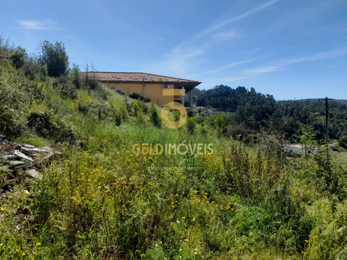 Terreno para Venda em São Martinho de Sardoura Foto 3