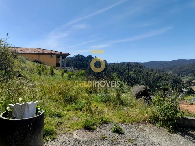 Terreno para Venda em São Martinho de Sardoura Foto 6