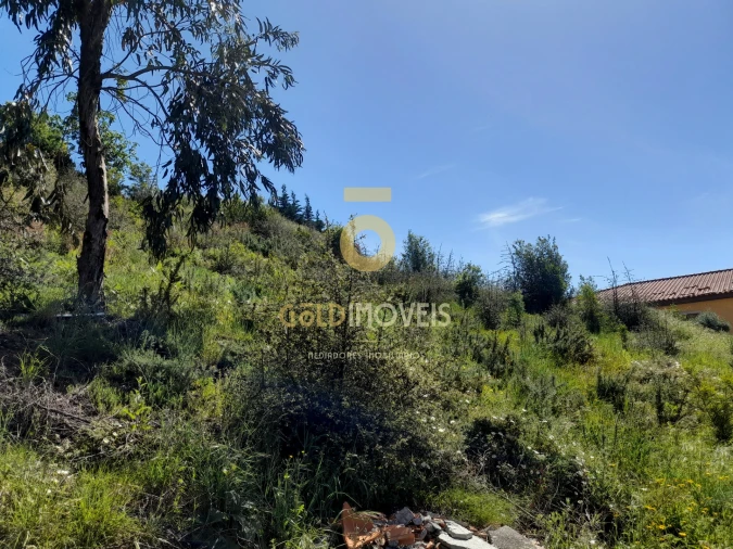 Terreno para Venda em São Martinho de Sardoura Foto 4