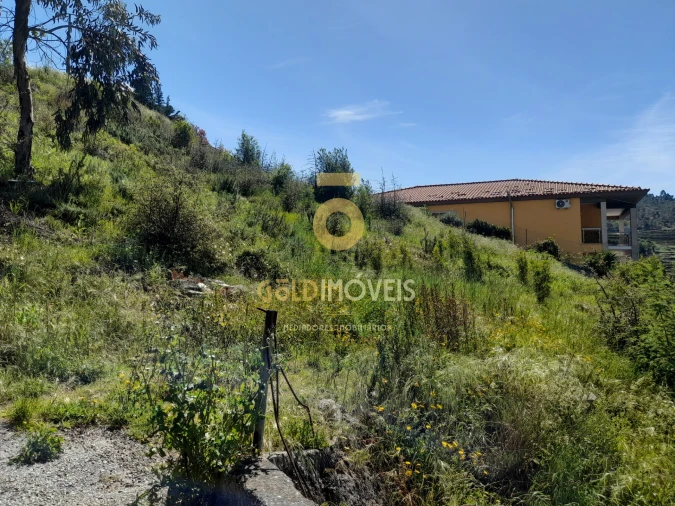 Terreno para Venda em São Martinho de Sardoura Foto 7