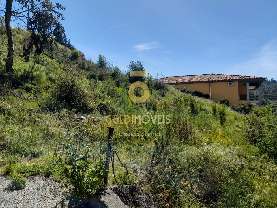 Terreno para Venda em São Martinho de Sardoura Foto 7