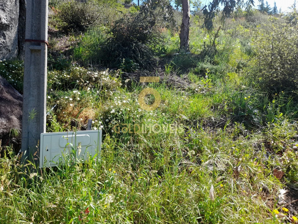 Terreno para Venda em São Martinho de Sardoura Foto 5