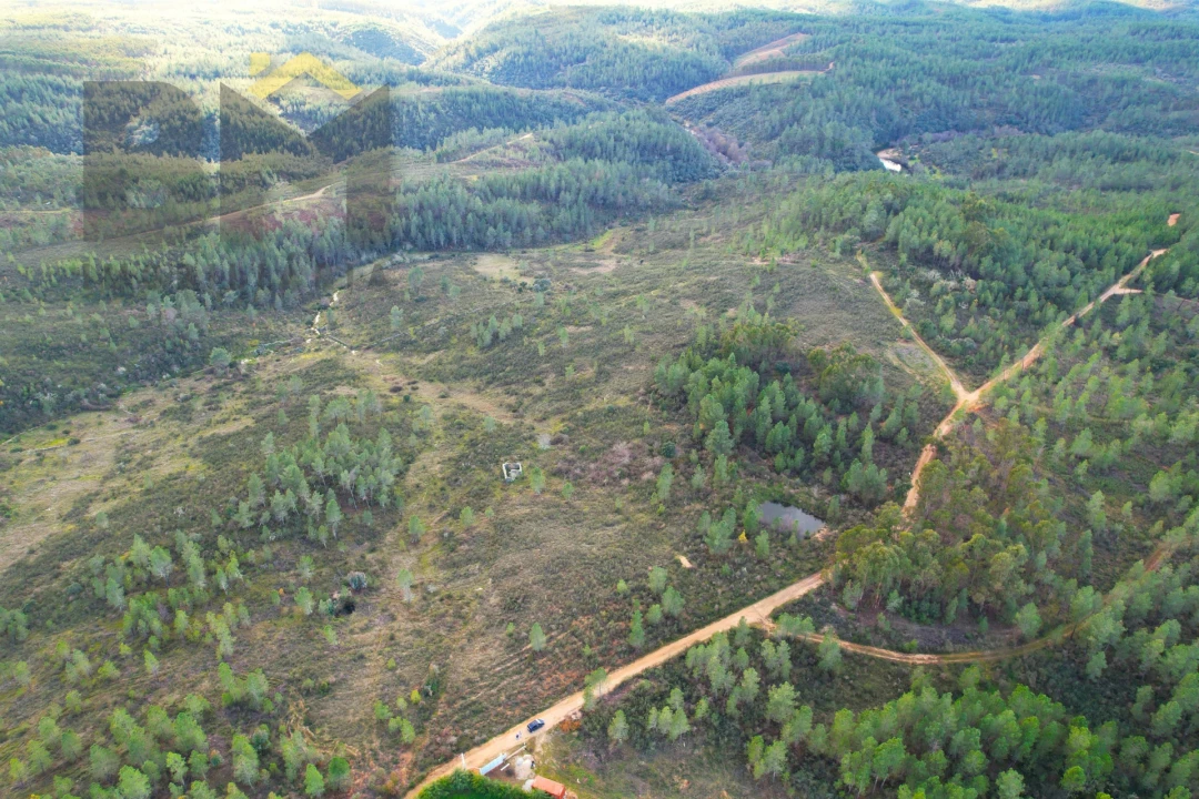 Terreno Agricola ou Rústico para Venda em Salgueiro do Campo Foto 6