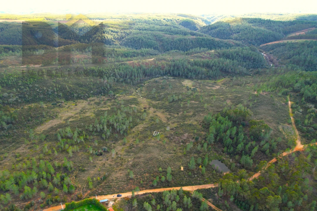 Terreno Agricola ou Rústico para Venda em Salgueiro do Campo Foto 7
