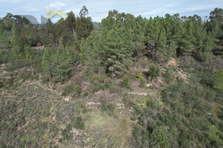 Terreno Agricola ou Rústico para Venda em Salgueiro do Campo Foto 3