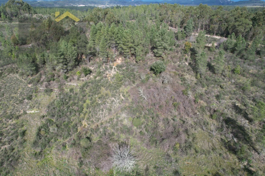 Terreno Agricola ou Rústico para Venda em Salgueiro do Campo Foto 4