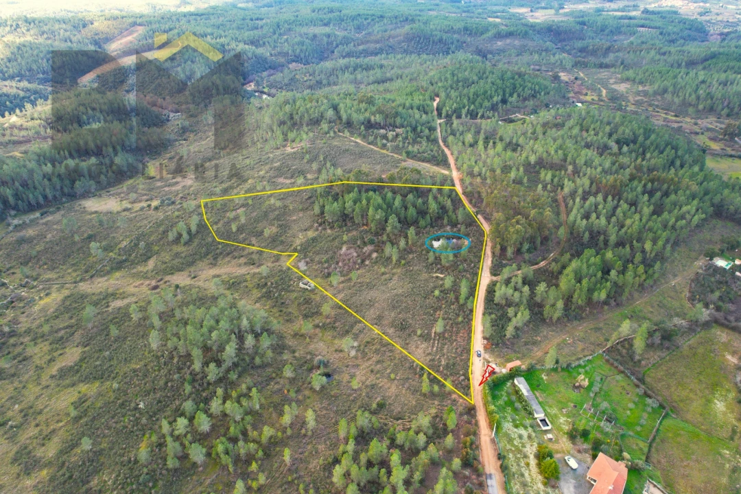 Terreno Agricola ou Rústico para Venda em Salgueiro do Campo Foto 2