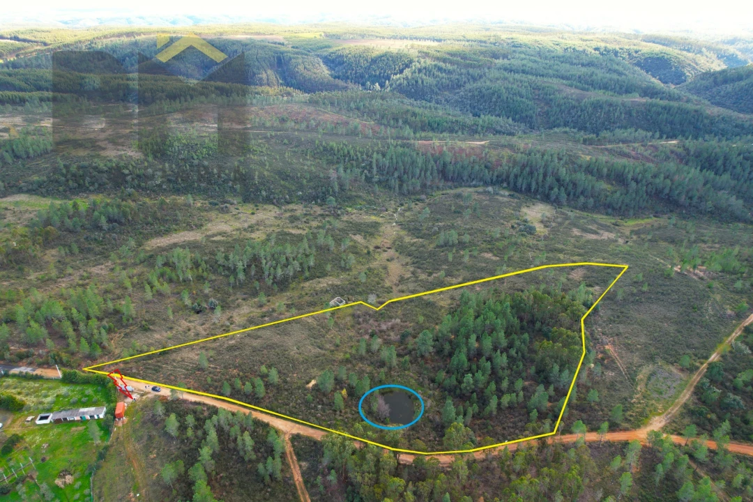 Terreno Agricola ou Rústico para Venda em Salgueiro do Campo Foto 1