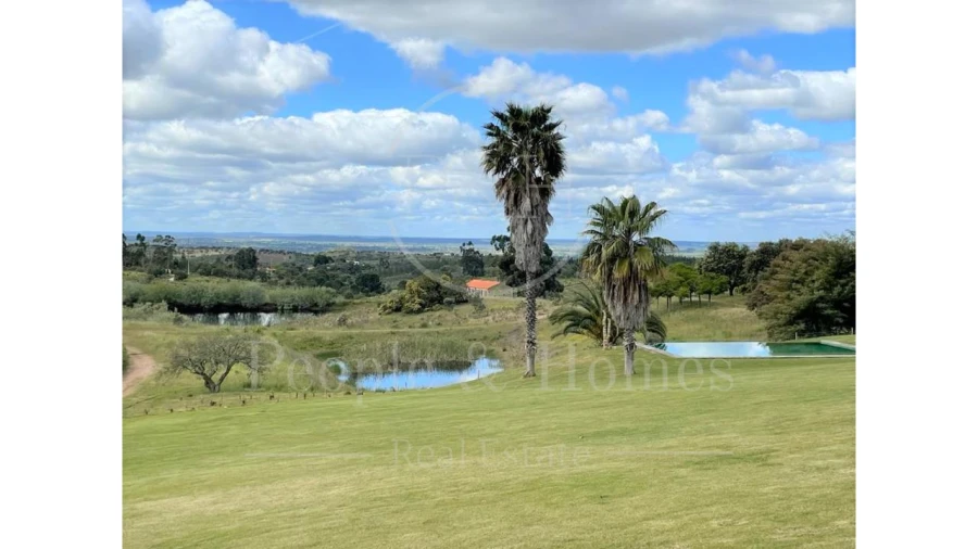 Quinta T8 para Arrendamento em Alcórrego e Maranhão Foto 3