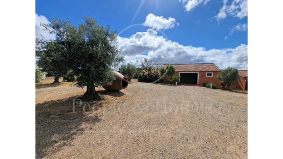 Quinta T8 para Arrendamento em Alcórrego e Maranhão Foto 17