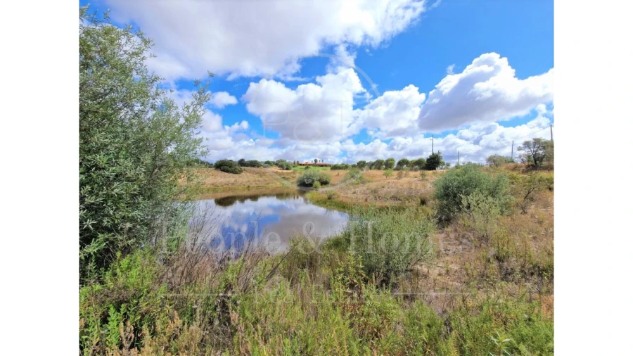 Quinta T8 para Arrendamento em Alcórrego e Maranhão Foto 10