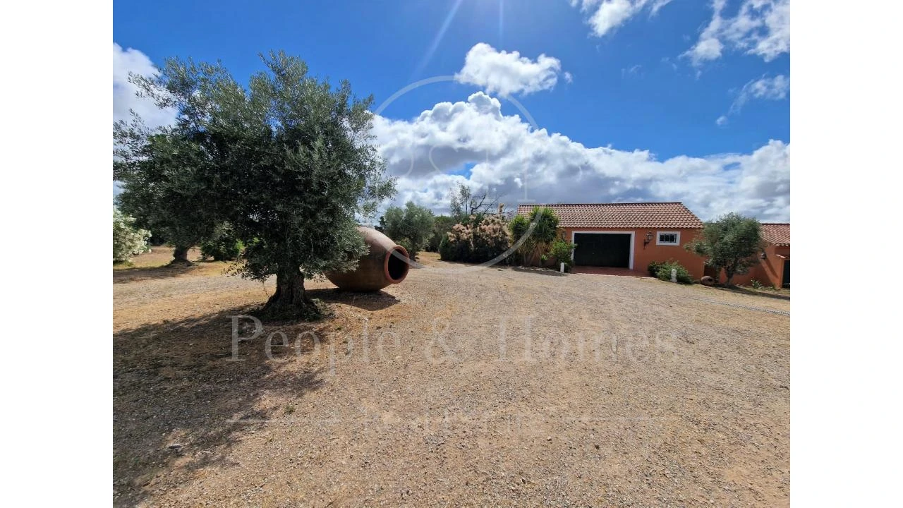 Quinta T8 para Arrendamento em Alcórrego e Maranhão Foto 17