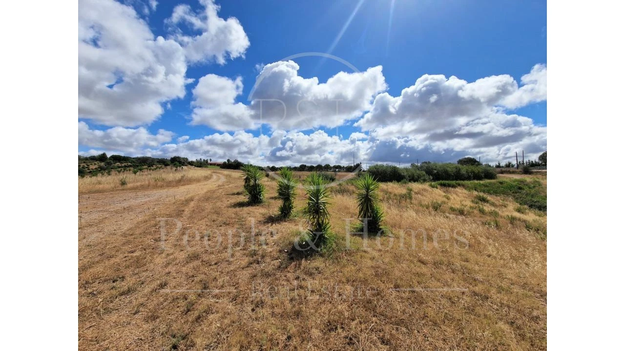 Quinta T8 para Arrendamento em Alcórrego e Maranhão Foto 27