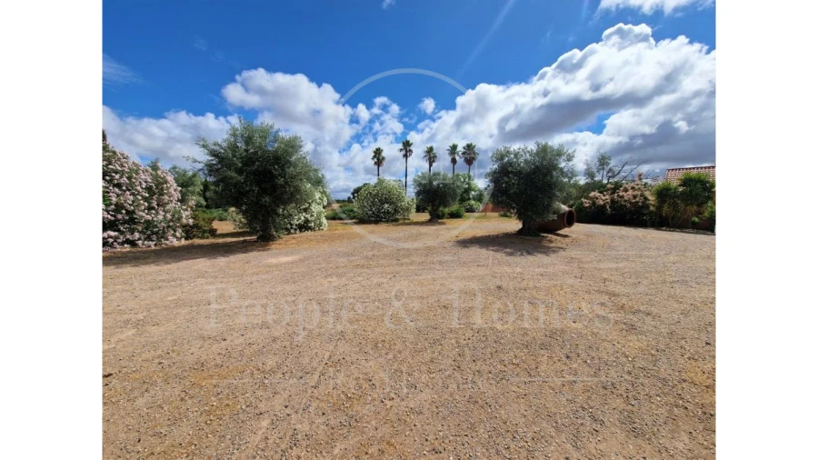 Moradia T8 para Arrendamento em Alcórrego e Maranhão Foto 18