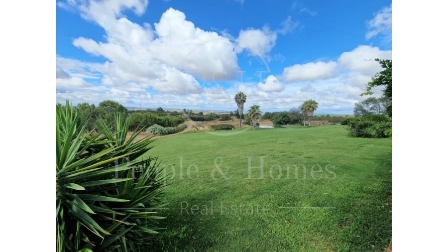 Moradia T8 para Arrendamento em Alcórrego e Maranhão Foto 6