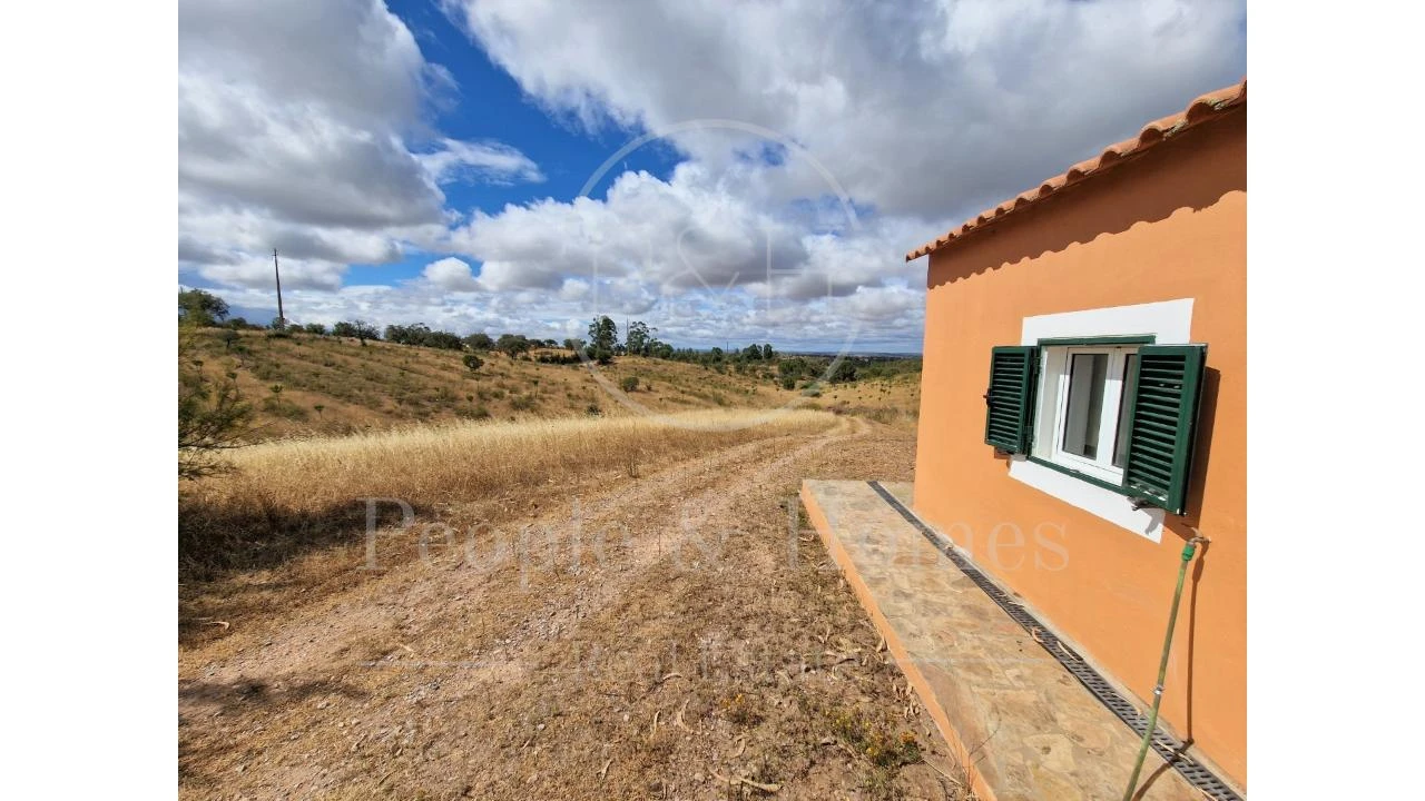 Moradia T8 para Arrendamento em Alcórrego e Maranhão Foto 26