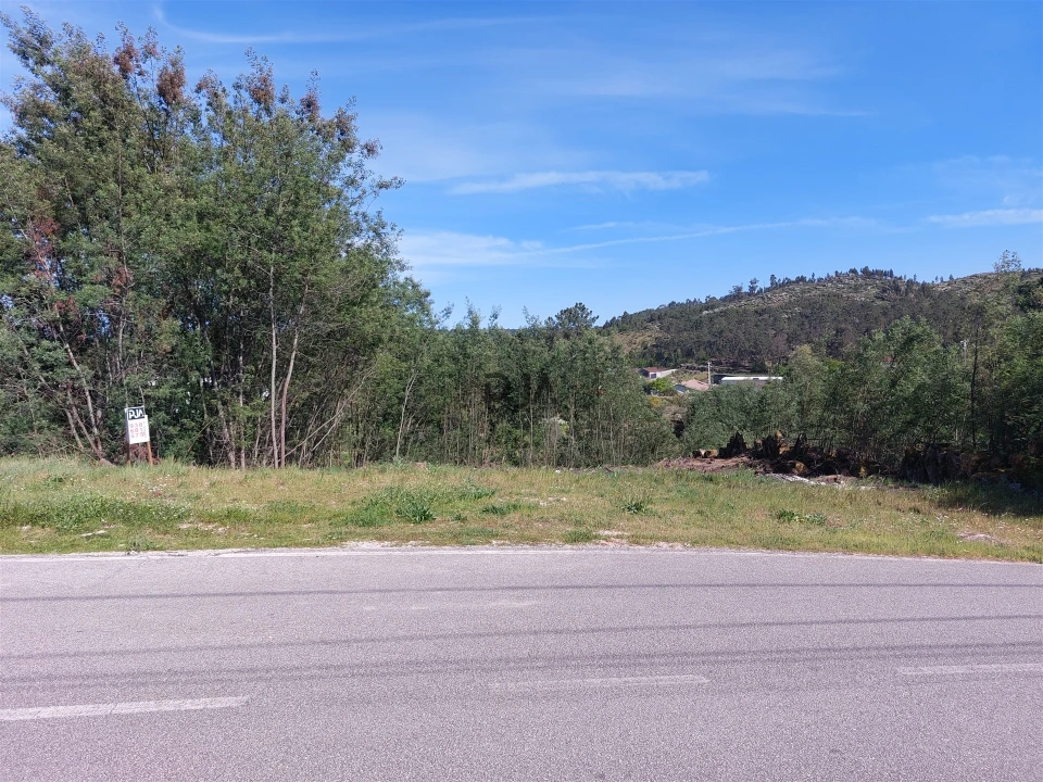 Terreno para Venda em Bodiosa Foto 2
