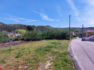 Terreno para Venda em Bodiosa