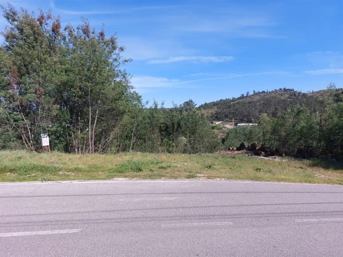 Terreno para Venda em Bodiosa Foto 2