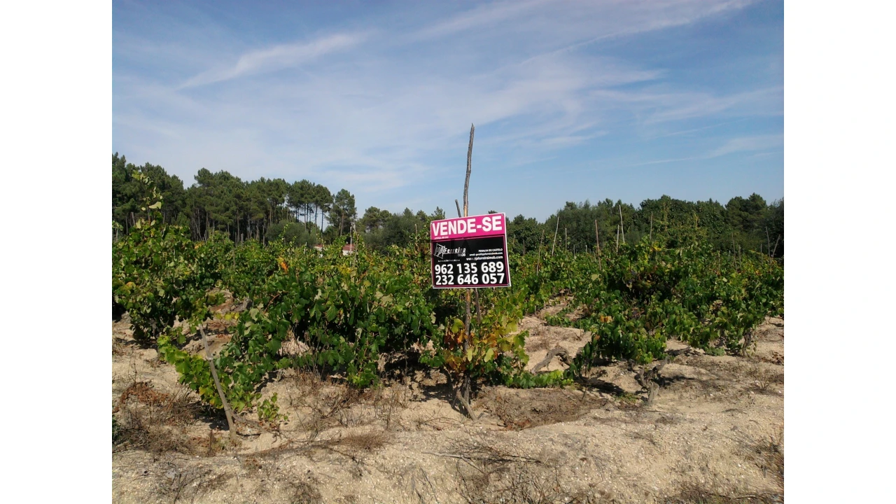 Terreno para Venda em Sezures Foto 5