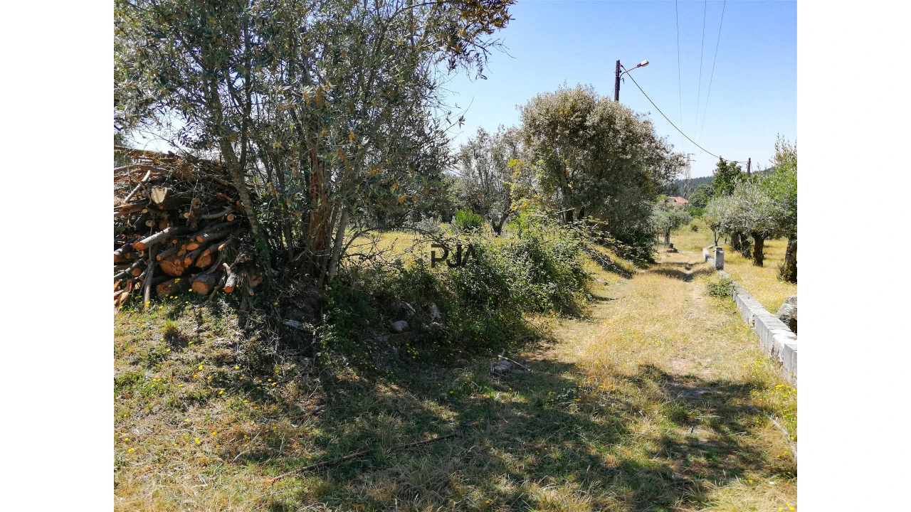 Terreno Agricola ou Rústico para Venda em Santiago de Cassurrães e Póvoa de Cervães Foto 6