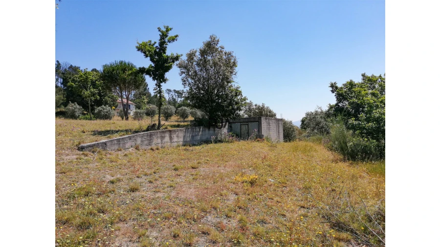 Terreno Agricola ou Rústico para Venda em Santiago de Cassurrães e Póvoa de Cervães Foto 3