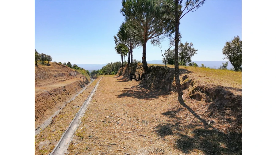 Terreno Agricola ou Rústico para Venda em Santiago de Cassurrães e Póvoa de Cervães Foto 2