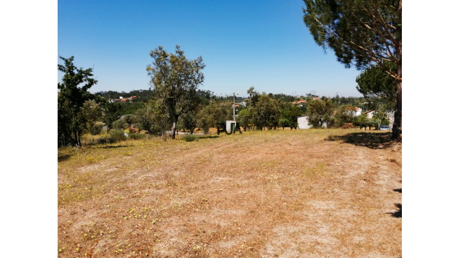 Terreno Agricola ou Rústico para Venda em Santiago de Cassurrães e Póvoa de Cervães Foto 5
