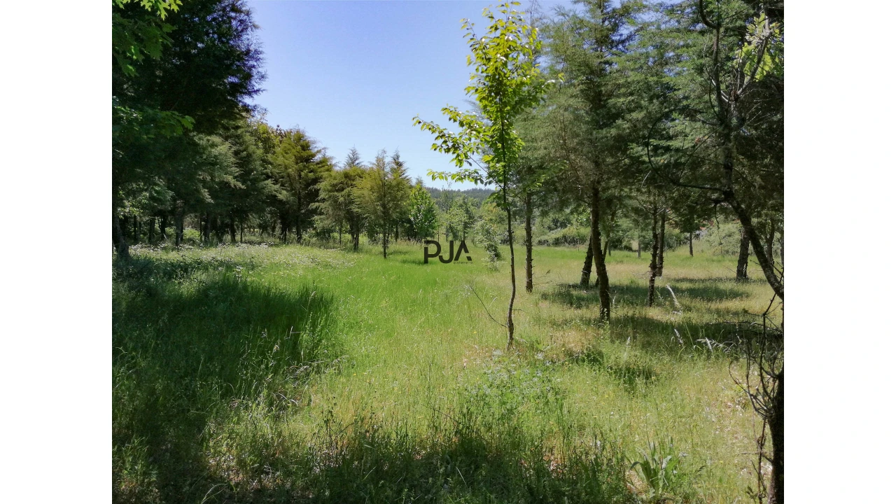 Terreno para Venda em Quintela de Azurara Foto 4