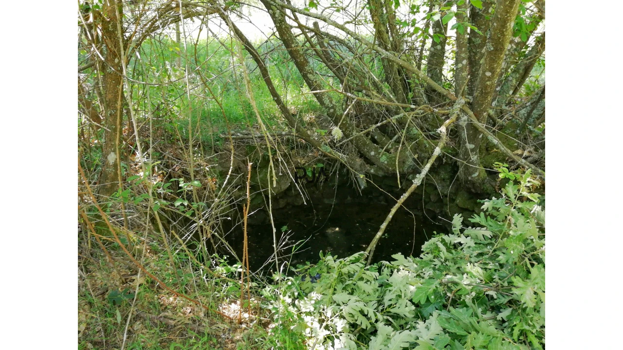 Terreno para Venda em Quintela de Azurara Foto 8