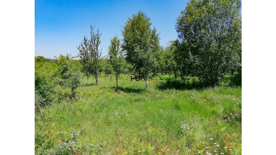 Terreno para Venda em Quintela de Azurara Foto 3