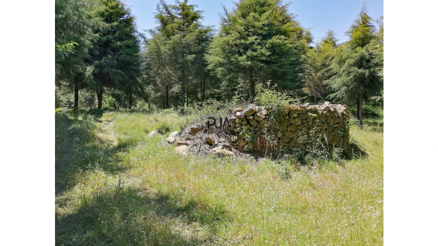 Terreno para Venda em Quintela de Azurara Foto 7