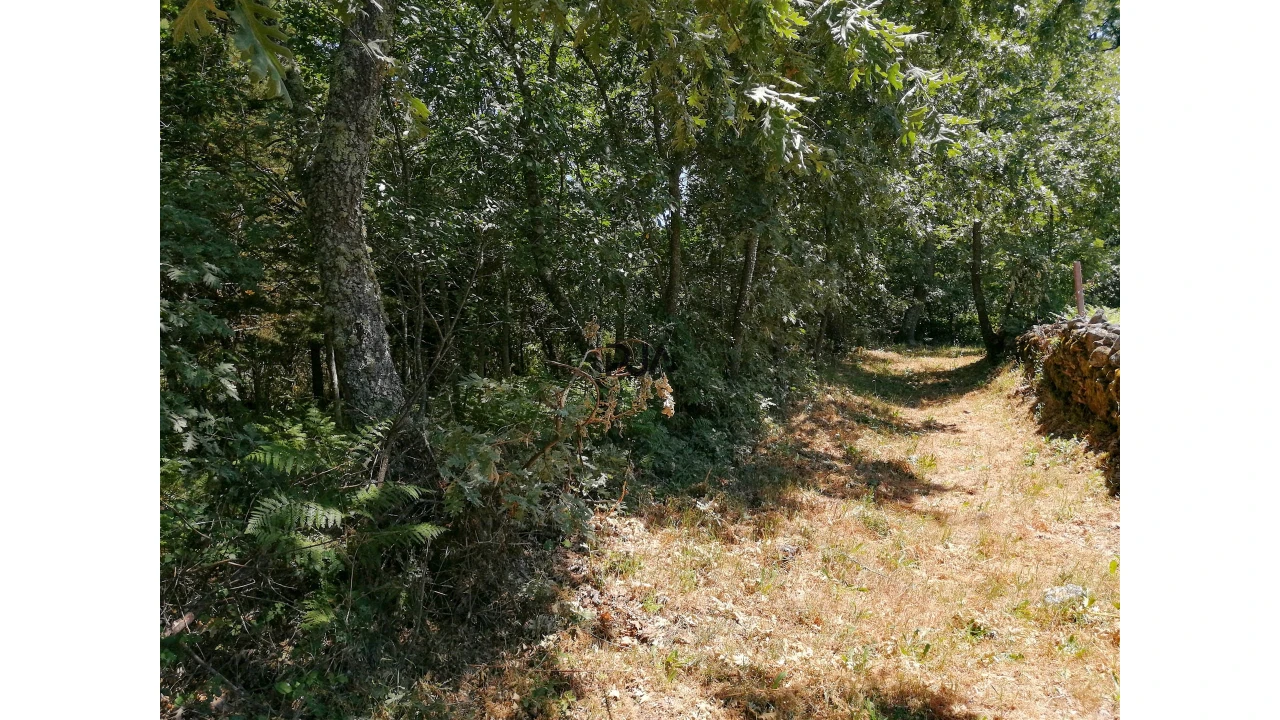 Terreno para Venda em Quintela de Azurara Foto 6