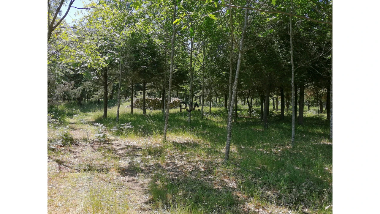 Terreno para Venda em Quintela de Azurara Foto 5