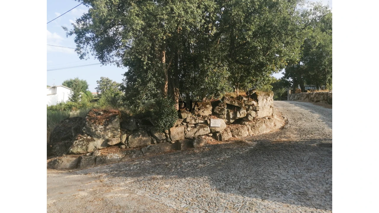 Terreno para Venda em Quintela de Azurara Foto 3