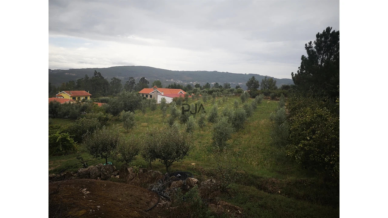 Quinta T0 para Venda em Sezures Foto 43