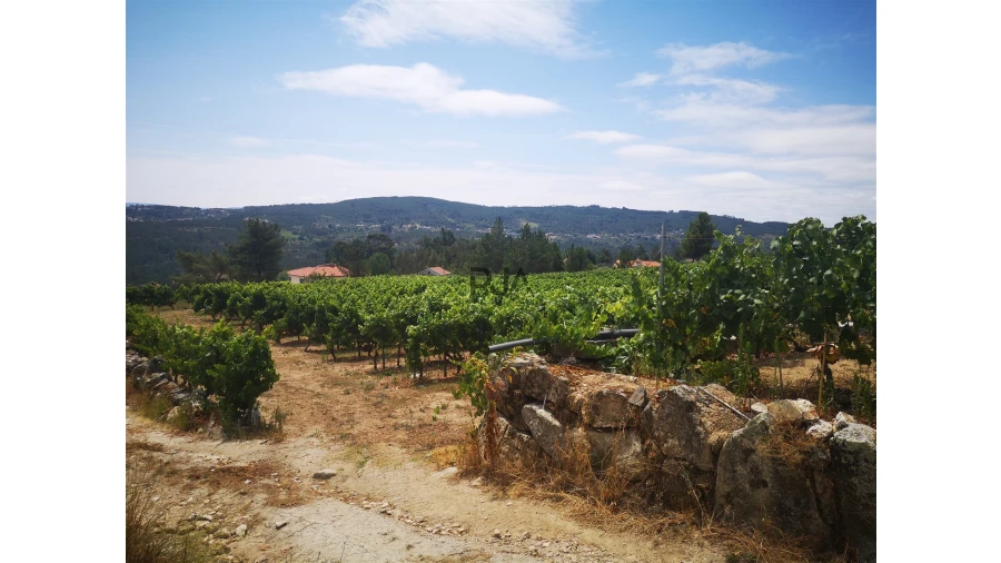 Quinta T0 para Venda em Sezures Foto 27