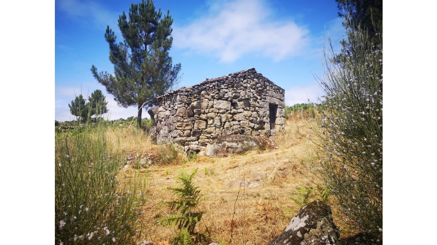 Quinta T0 para Venda em Sezures Foto 33