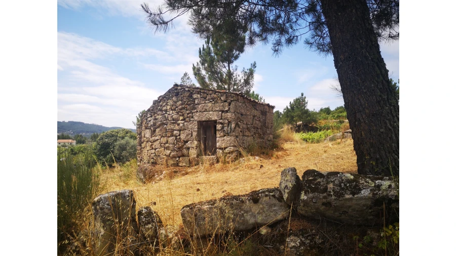 Quinta T0 para Venda em Sezures Foto 35