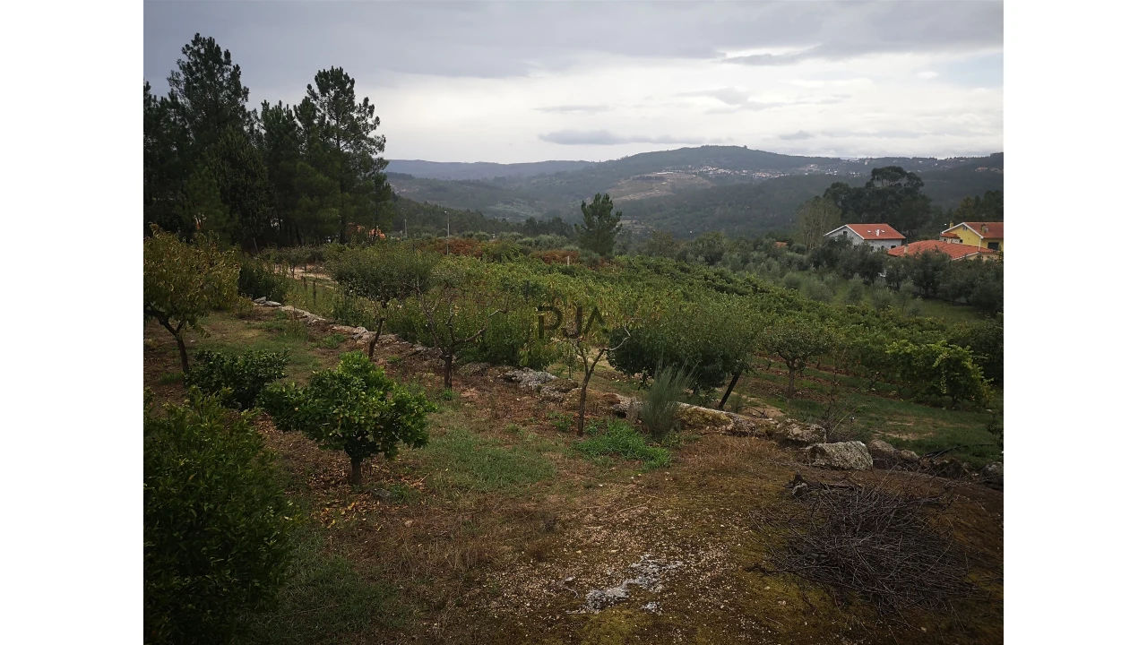 Quinta T0 para Venda em Sezures Foto 42