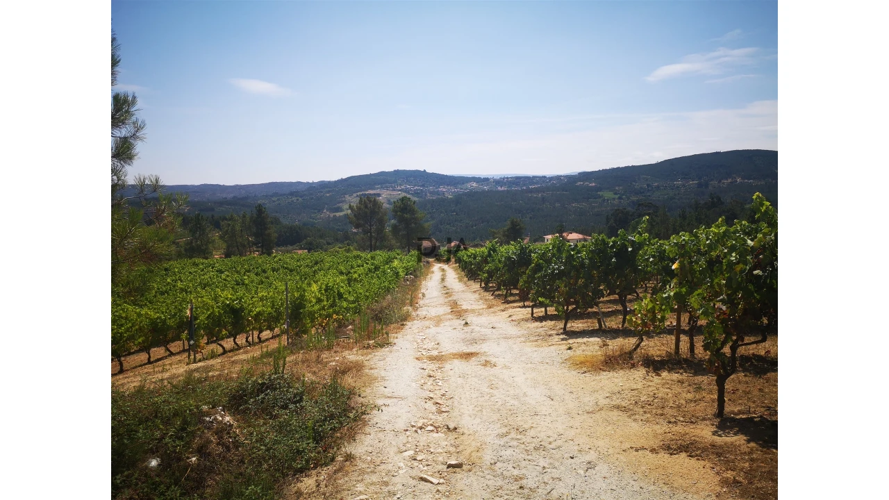 Quinta T0 para Venda em Sezures Foto 18